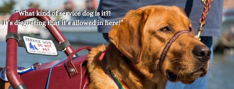 21 Ridiculous Stories About People Who Just Don't Understand Service Animals  »
