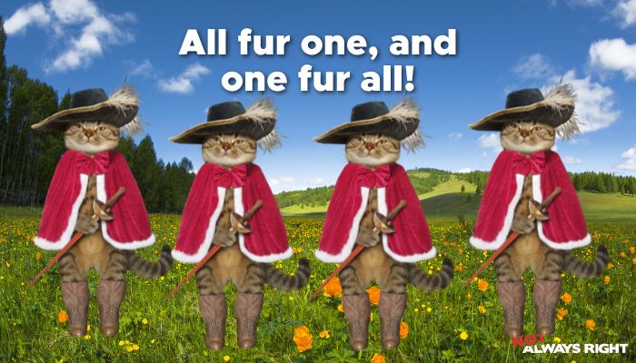All fur one, and one fur all!