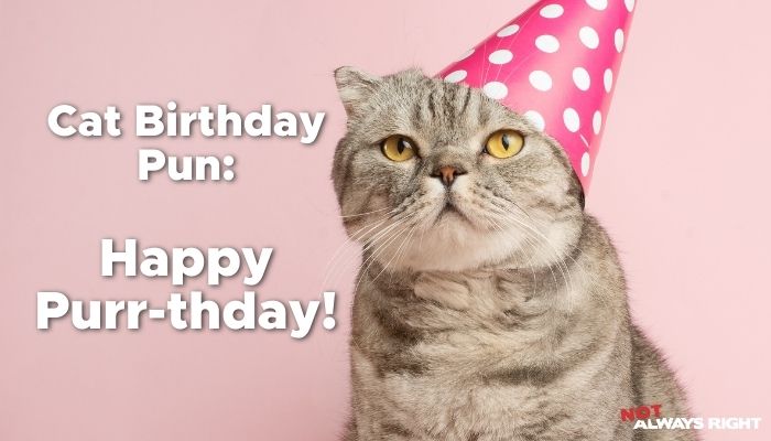 Cat Birthday Pun - Happy Purr-thday!