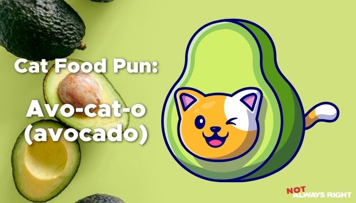 Cat Food Pun - Avo-cat-o (avocado)