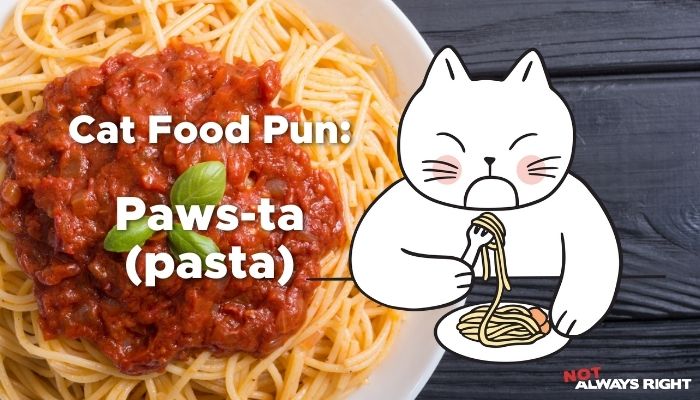Cat Food Pun - Paws-ta (pasta)