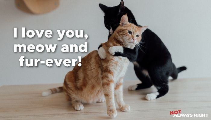 I love you, meow and fur-ever!