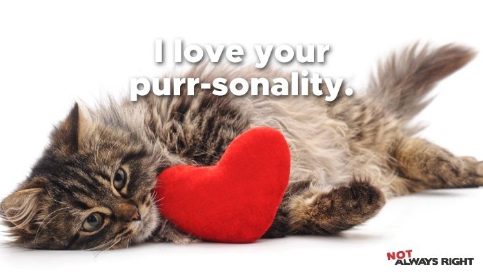 I love your purr-sonality.