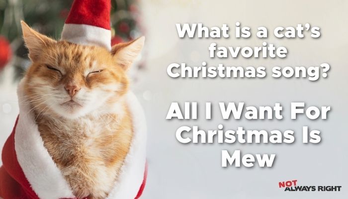 What is a cat’s favorite Christmas song? All I Want For Christmas Is Mew