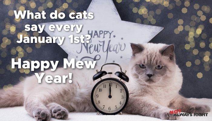What do cats say every January 1st? Happy Mew Year!