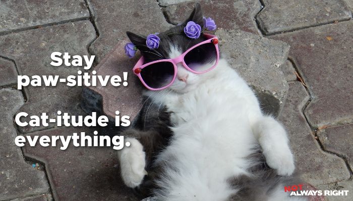 Stay paw-sitive! Cat-itude is everything.