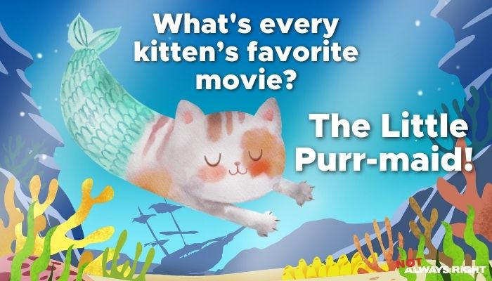 What's every kitten’s favorite movie? The Little Purr-maid