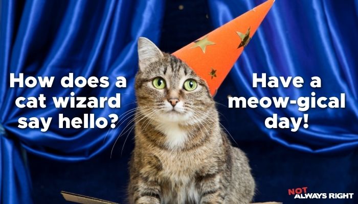 How does a cat wizard say hello? Have a meow-gical day!